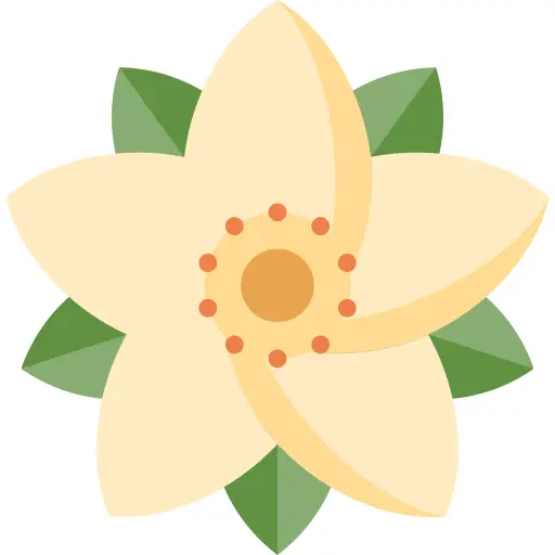 Poinsettia