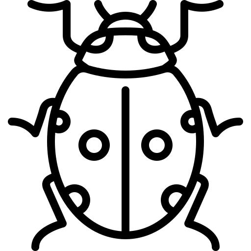 Big Ladybug