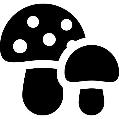 Two Mushwooms