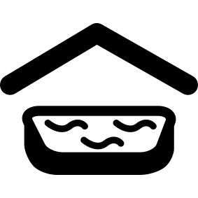Swimming pool covered with roof