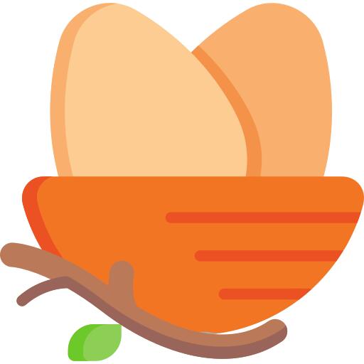 巢