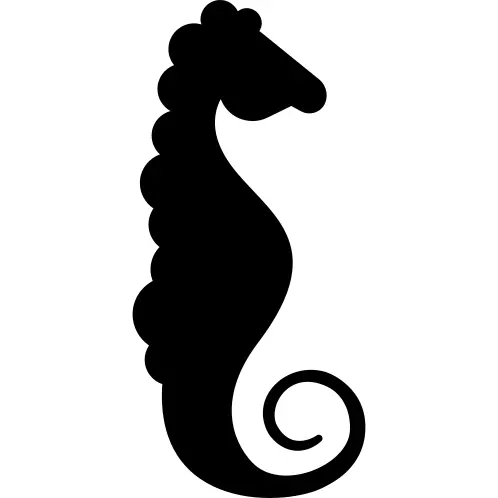 Seahorse