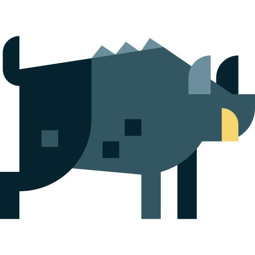 Boar