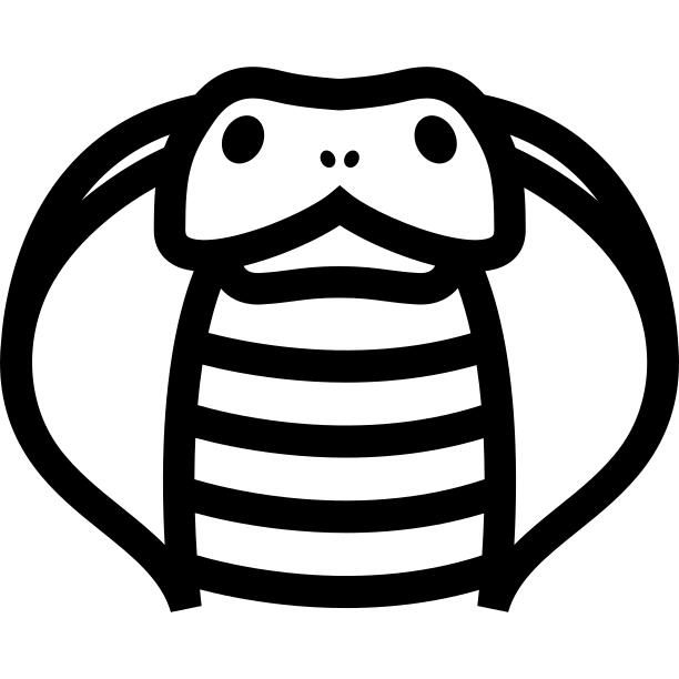 眼镜蛇前轮廓