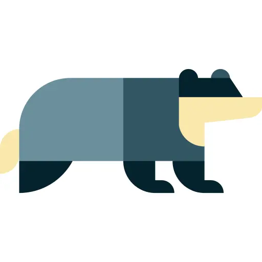 獾