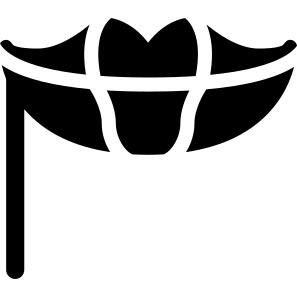 Lips Mask