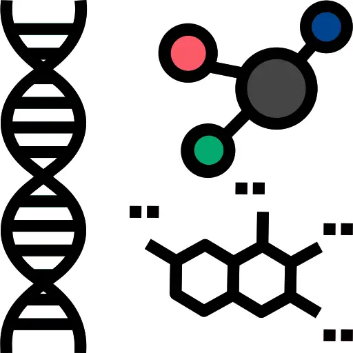Dna
