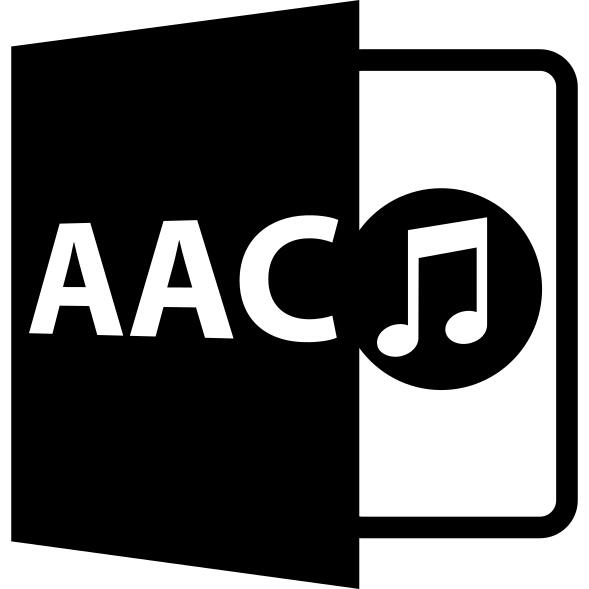 Acc文件格式符号