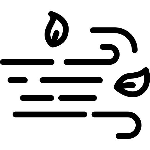风