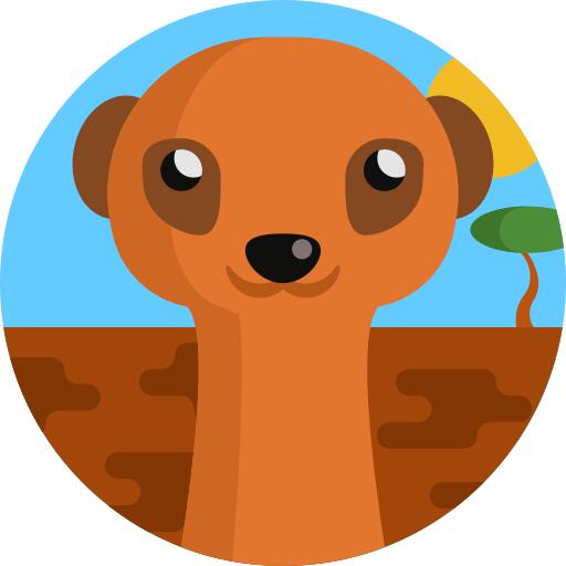 Meerkat