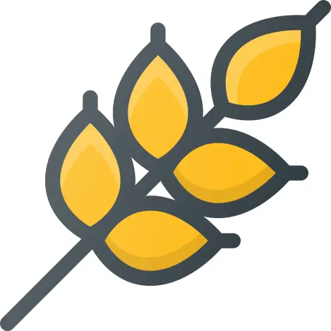 小麦