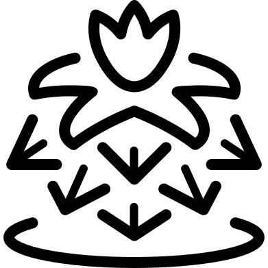 仙人掌