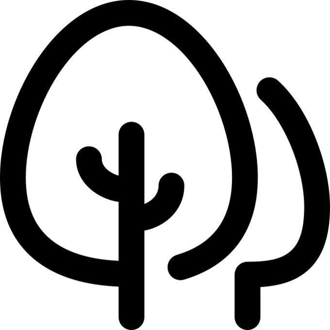 Pine