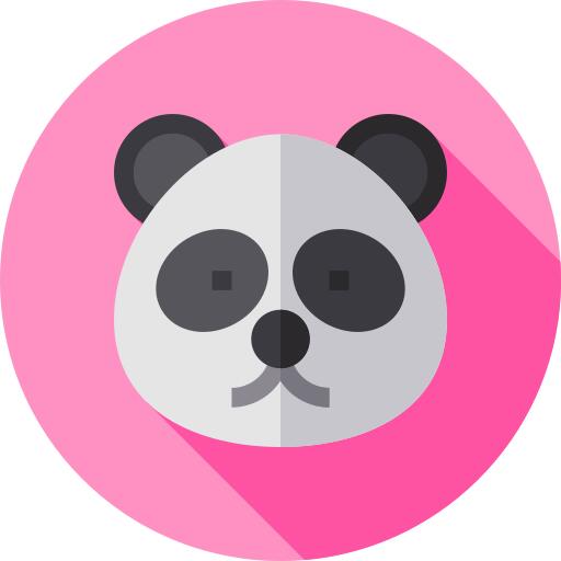 Panda bear