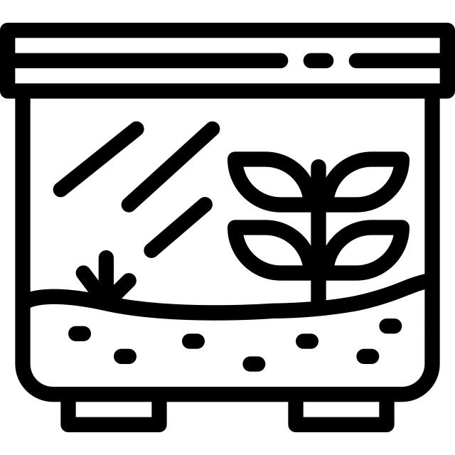 水晶球