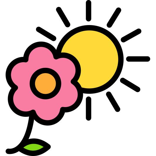 Photosynthesis