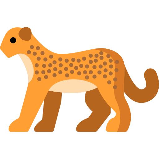 Cheetah