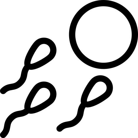 Fertility