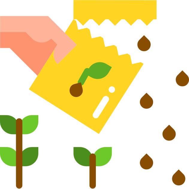 Seeds