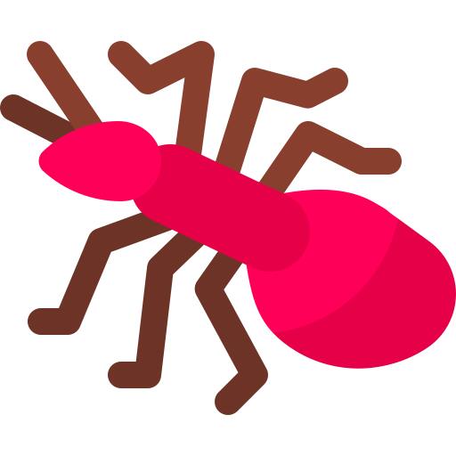 Ant