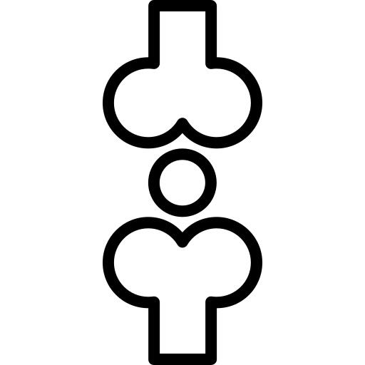 Joint