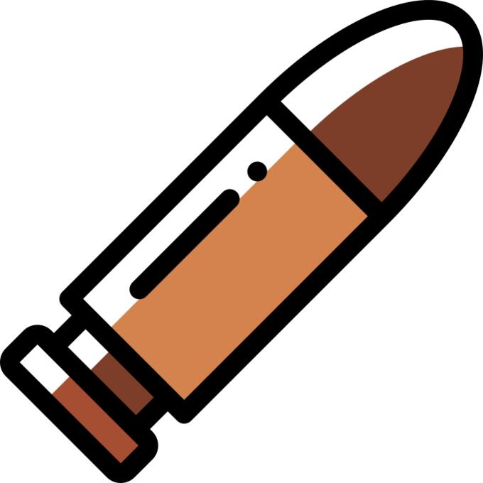 Bullet