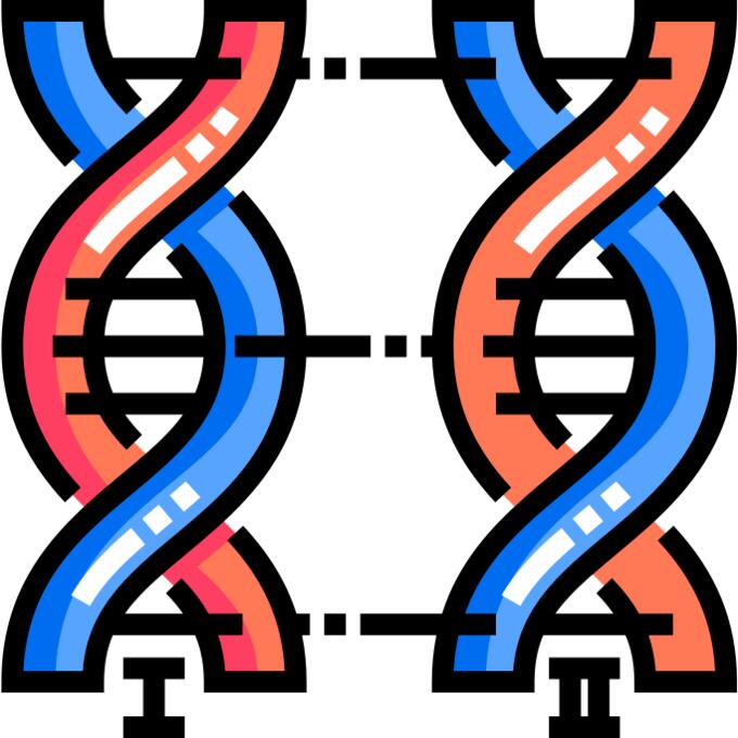 Dna