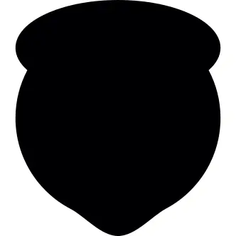 Rounded black shield