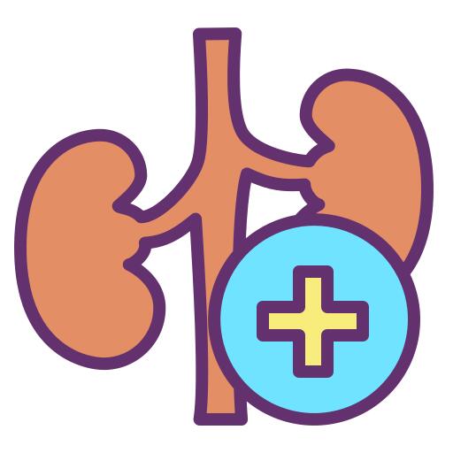 Kidney