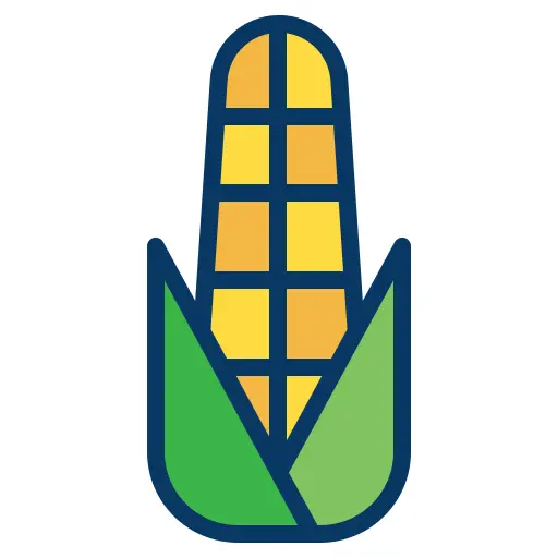 Corn