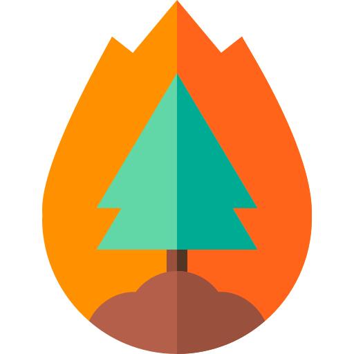 Forest fire