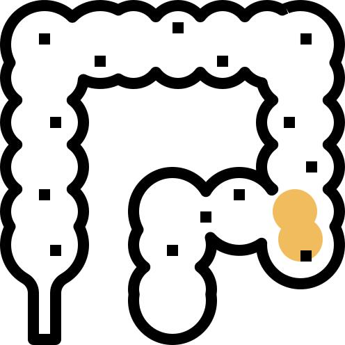 Colon