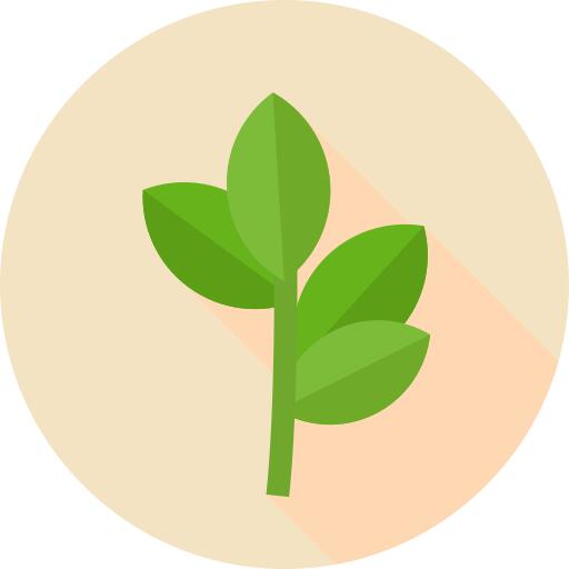 Branch