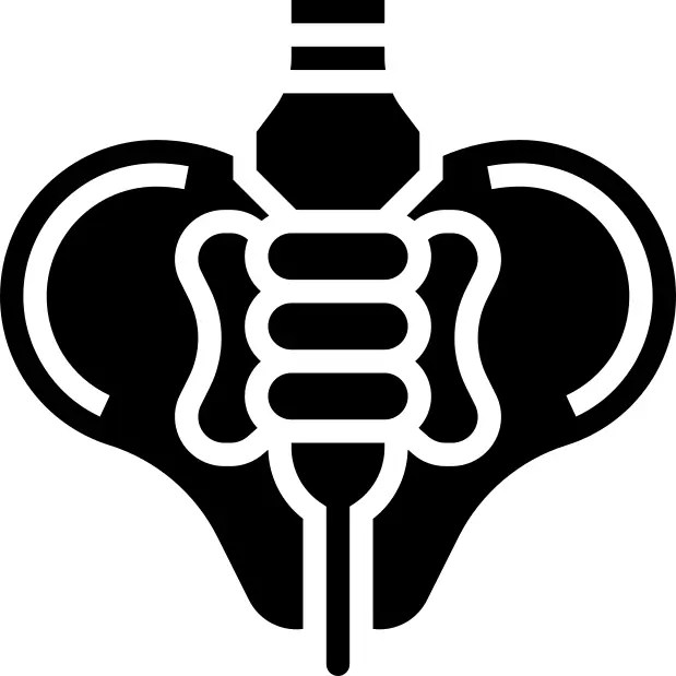 骨盆