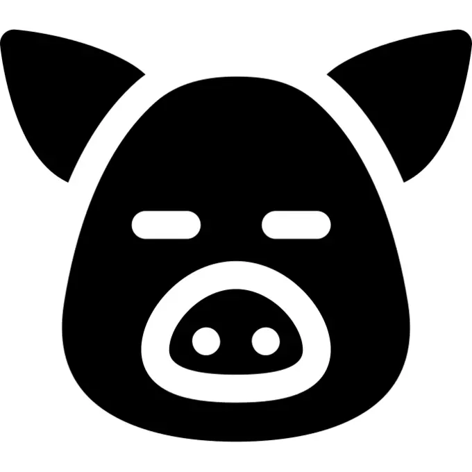 Pig