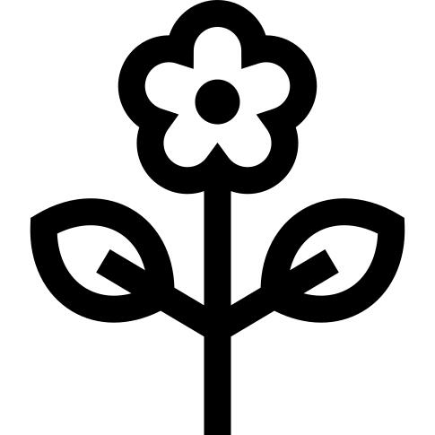 罂粟