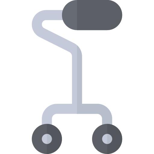Walking stick