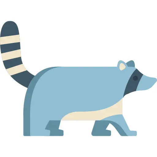 Racoon