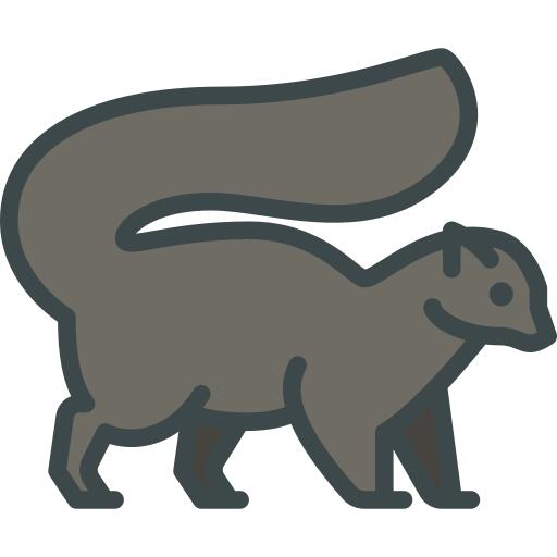 Skunk