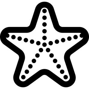 海星