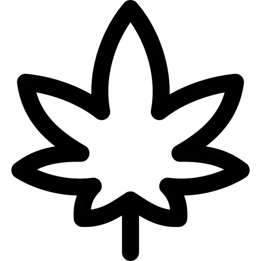 Cannabis