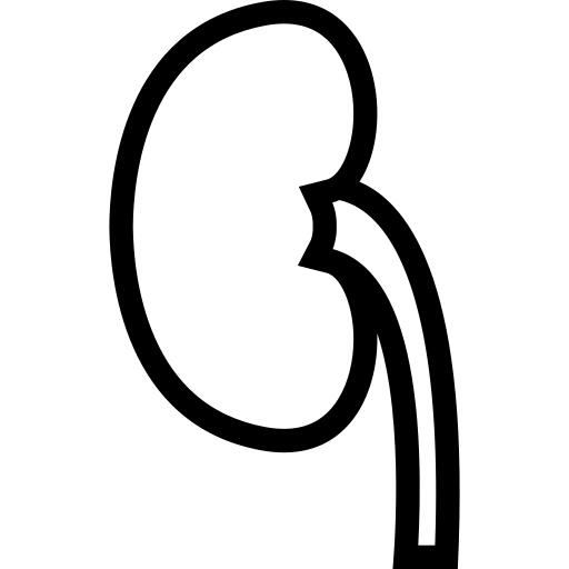 Kidney