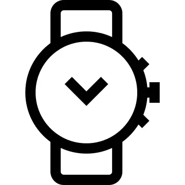 Wristwatch