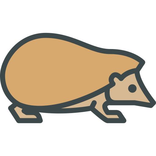 Hedgehog