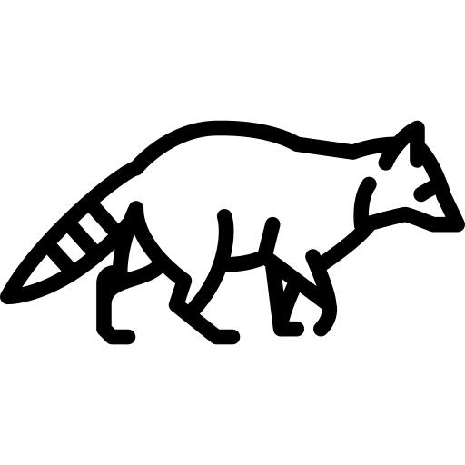 狸