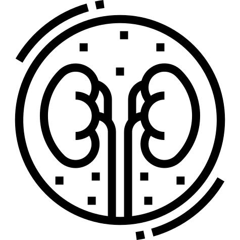 肾