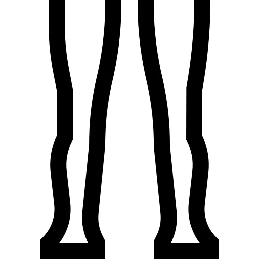 腿