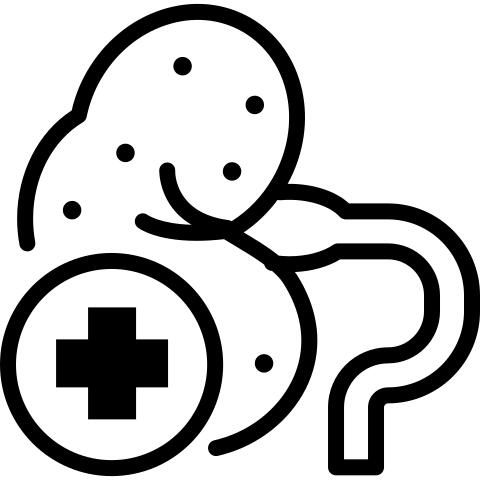 肾