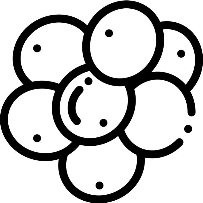生物学