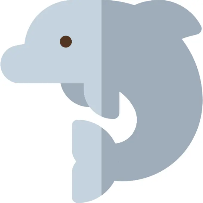 Dolphin